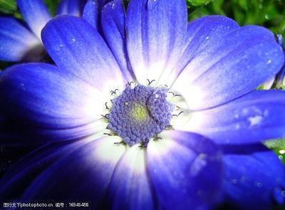 欢迎到来的心情文案 告别疫情迎接的句子