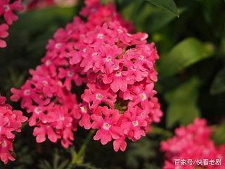 520对男朋友的说说 写给男朋友的暖心说说