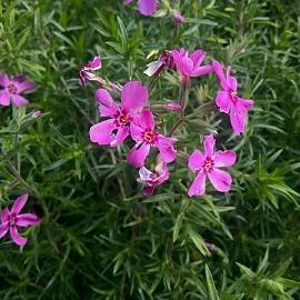 用心享受生活的句子【精选13句】