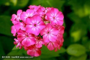 杜牧名句