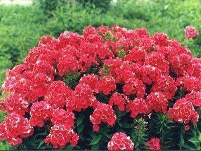 清明节给客户祝福短信