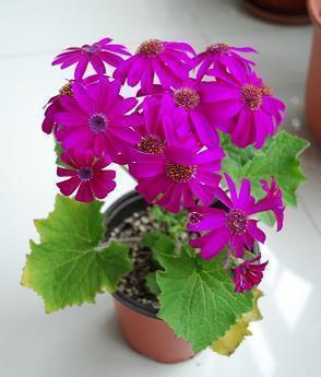 难割难舍