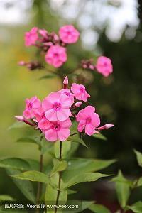 箴戒