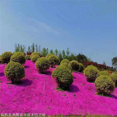 关于诚信友善的名言 诚信友善名人名言