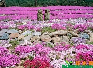 大脚丫跳芭蕾读书阅读心得