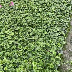 脚踏实地名言警句 安于现状的唯美句子