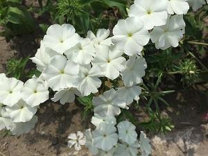禅语人生感悟的句子