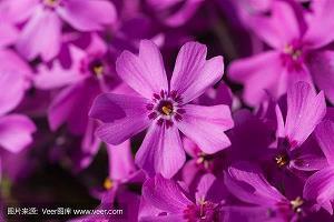 重阳节老人祝福语大全(精选79条)
