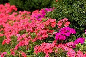 撩已婚女人的套路情话 让已婚女人感动流泪的话