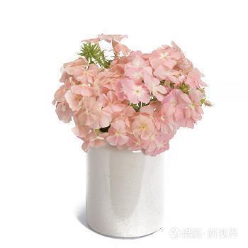 烽火戏诸侯老子是癞蛤蟆经典语录大全_心寒经典语录