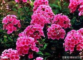 回不到从前的伤感句子_回不到的过去伤感句子
