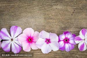 感人的婚姻爱情故事，生死相依，爱的力量
