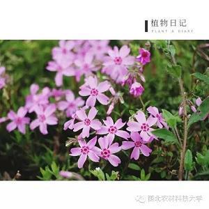 冬天中午问候短信