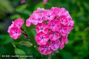 经典珠宝广告语大全