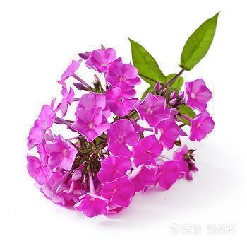 与太阳有关的唯美句子