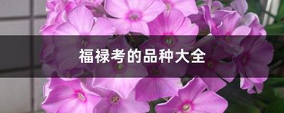 题和