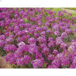 4则早会励志小故事分享