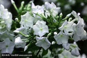 珍惜现在幸福的唯美句子37条