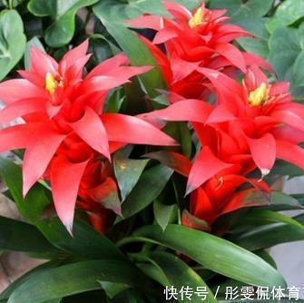 网易云热评扎心语录精选40句
