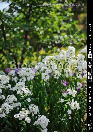 写人有志气有骨气的名人名言33条